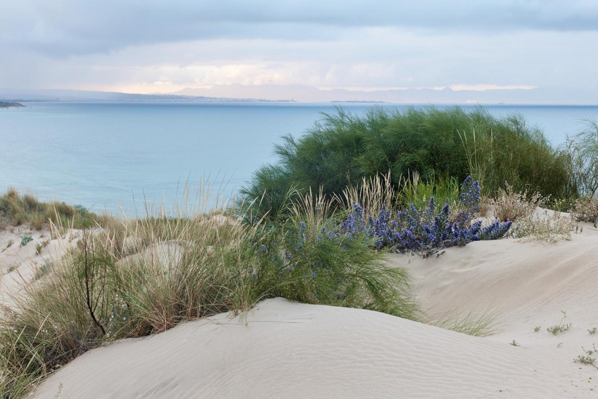 Taiga Tarifa Punta Paloma Hotel Екстериор снимка