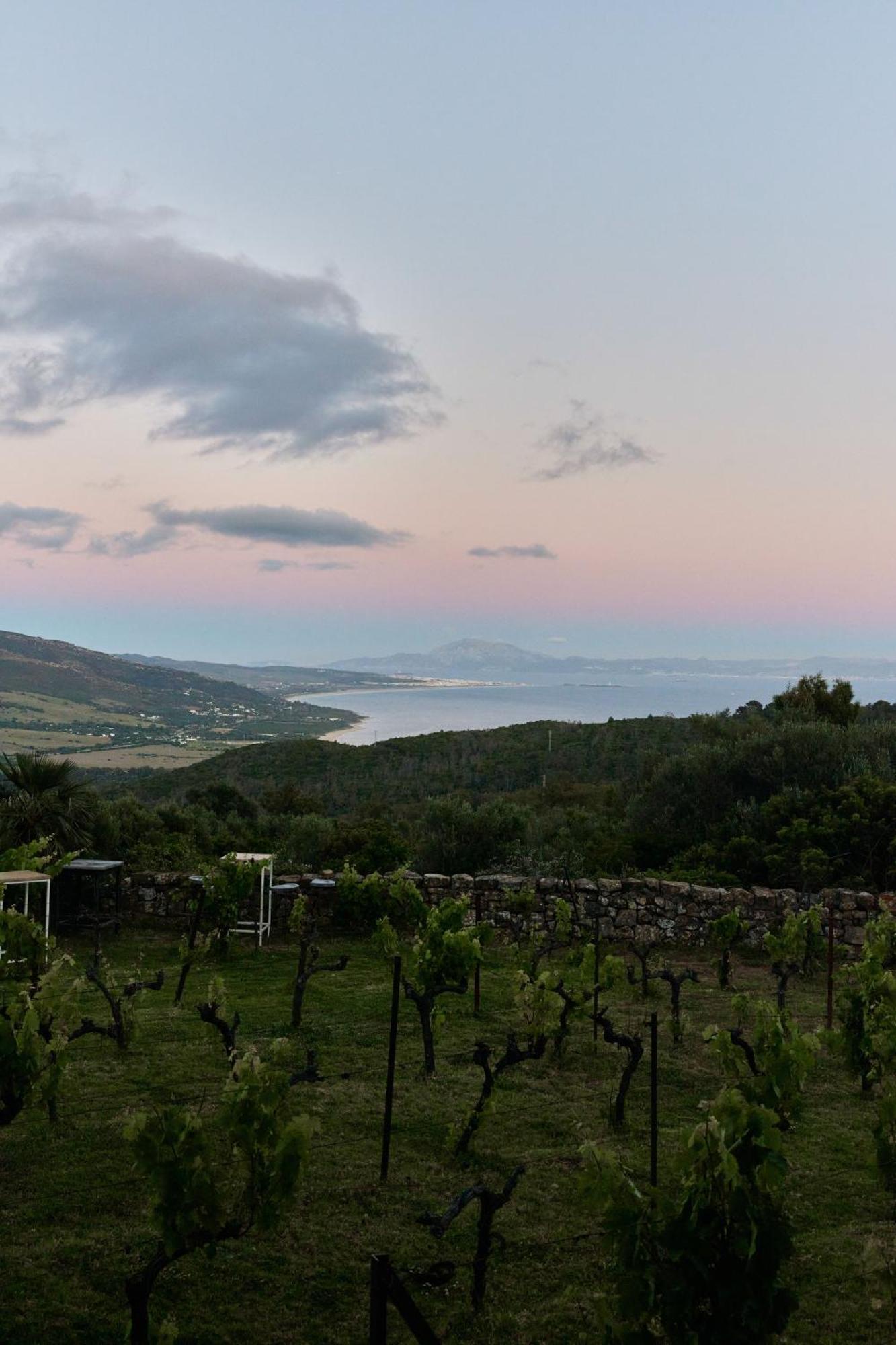 Taiga Tarifa Punta Paloma Hotel Екстериор снимка